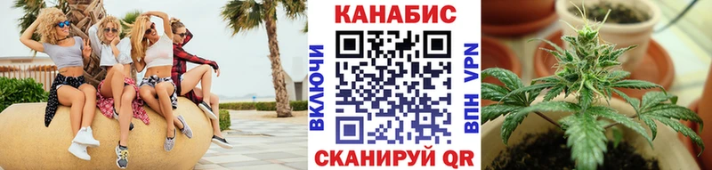 Купить наркотики цена Богучар Cocaine Псилоцибиновые грибы Канабис