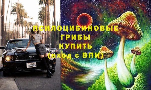 гидропоника Алексеевка