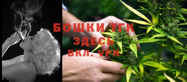 соль ск Алзамай