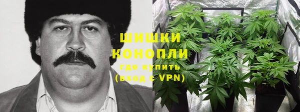соль ск Алзамай